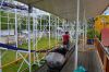 Filename=1235~3.JPG
Filesize=384KB
Dimensions=800x532
Date added=May 08, 2021 1235~3.JPG