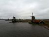 20190303_114804.jpg